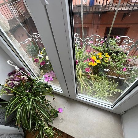 Apartment In The City Center Mini İvano-Frankivsk Dış mekan fotoğraf