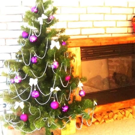 Apartment In The City Center Mini İvano-Frankivsk Dış mekan fotoğraf
