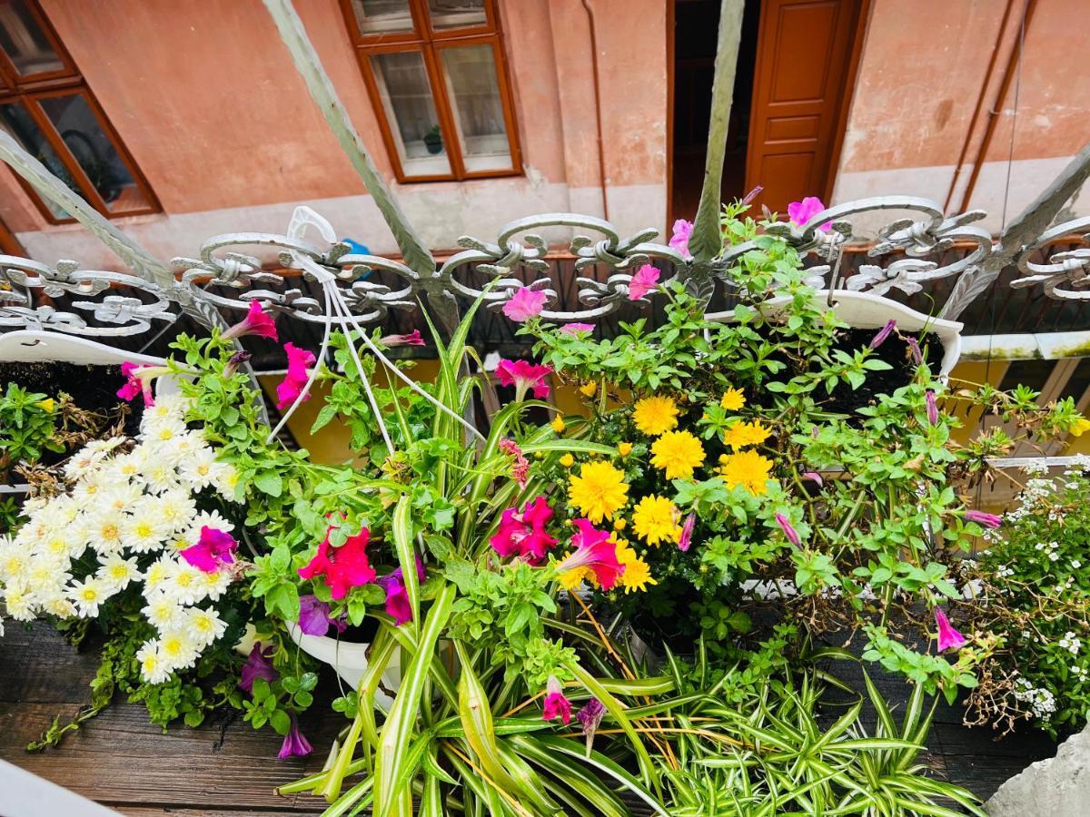 Apartment In The City Center Mini İvano-Frankivsk Dış mekan fotoğraf