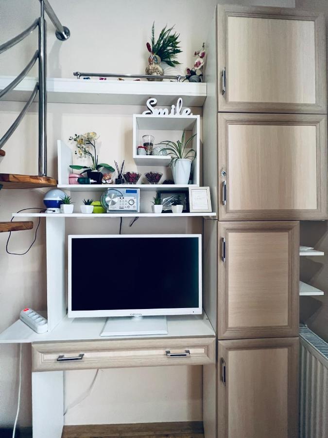 Apartment In The City Center Mini İvano-Frankivsk Dış mekan fotoğraf