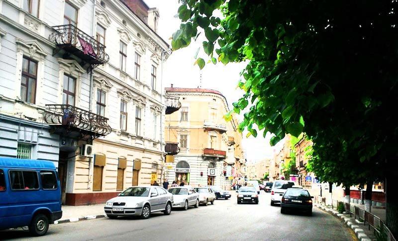 Apartment In The City Center Mini İvano-Frankivsk Dış mekan fotoğraf