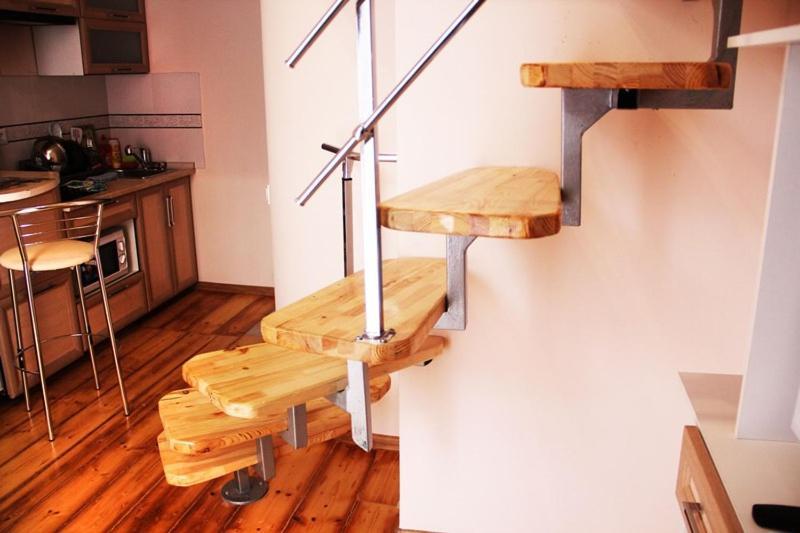 Apartment In The City Center Mini İvano-Frankivsk Dış mekan fotoğraf
