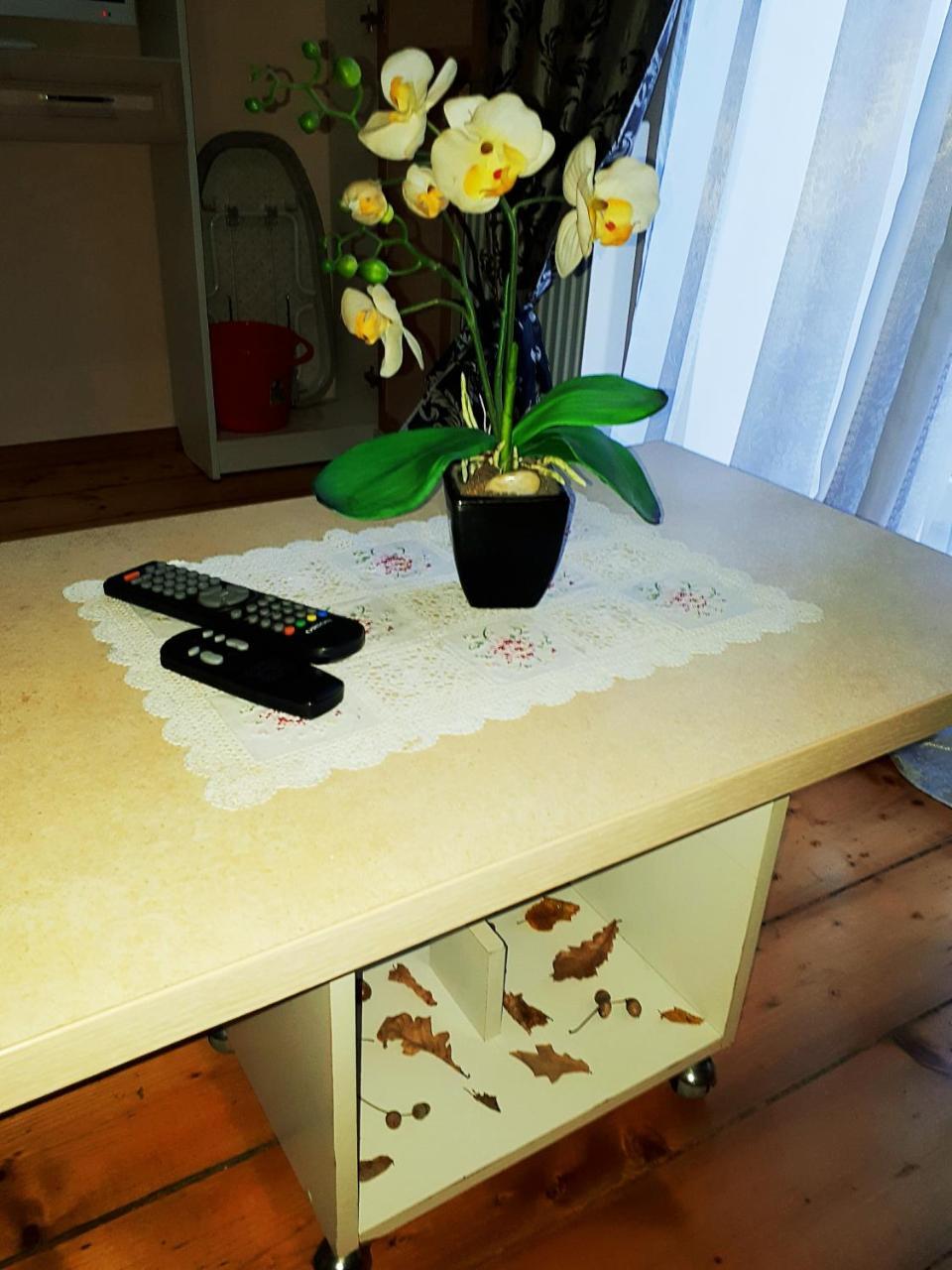 Apartment In The City Center Mini İvano-Frankivsk Dış mekan fotoğraf