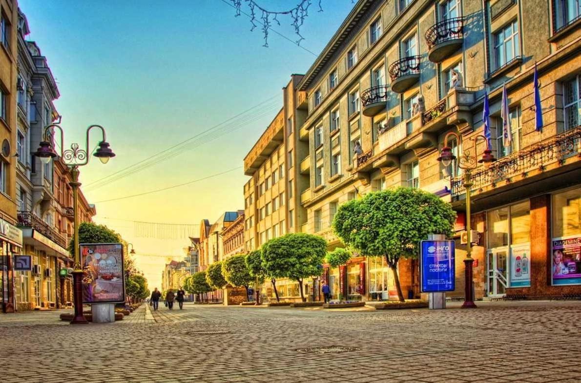 Apartment In The City Center Mini İvano-Frankivsk Dış mekan fotoğraf